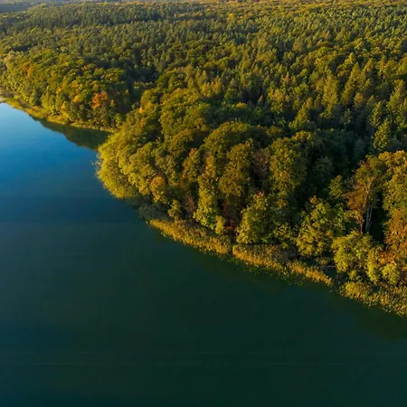 Historic Forester's House Tornow In Forest Setting