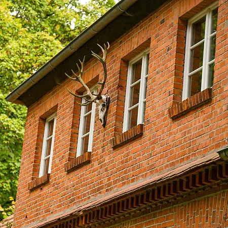 Historic Forester's House Tornow In Forest Setting Ferienhaus