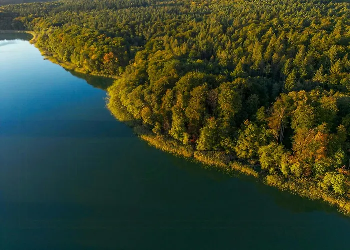 Tatil Evi Historic Forester's House Tornow In Forest Setting *